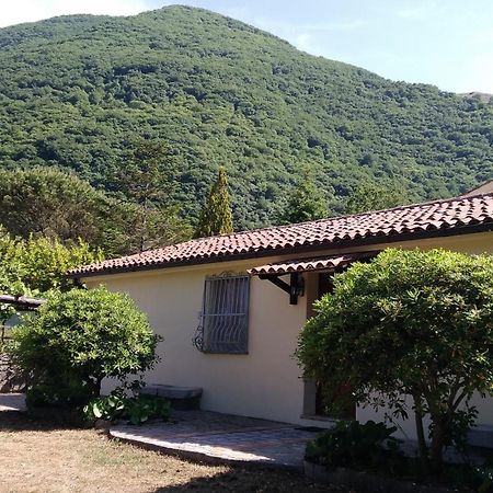 Agriturismo Collevento Trecchina Eksteriør billede