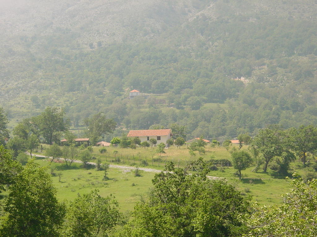 Agriturismo Collevento Trecchina Eksteriør billede
