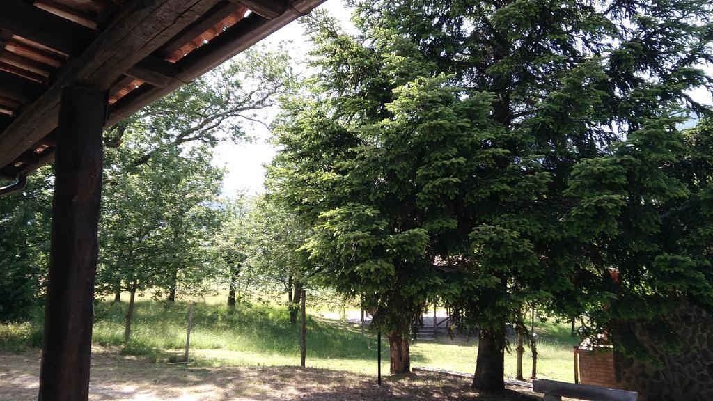Agriturismo Collevento Trecchina Eksteriør billede